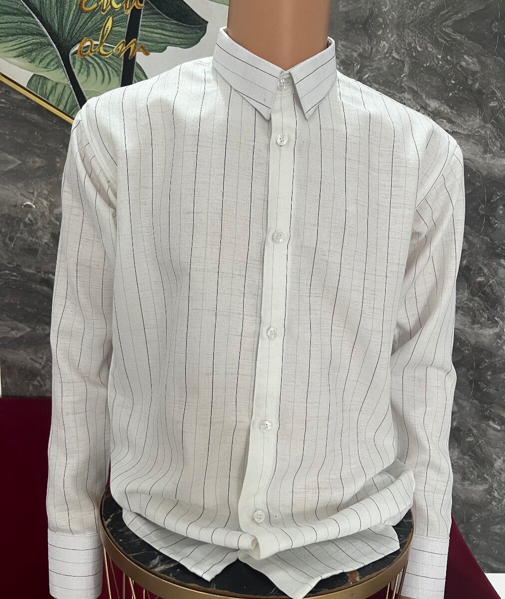 Chemises élégantes pour hommes