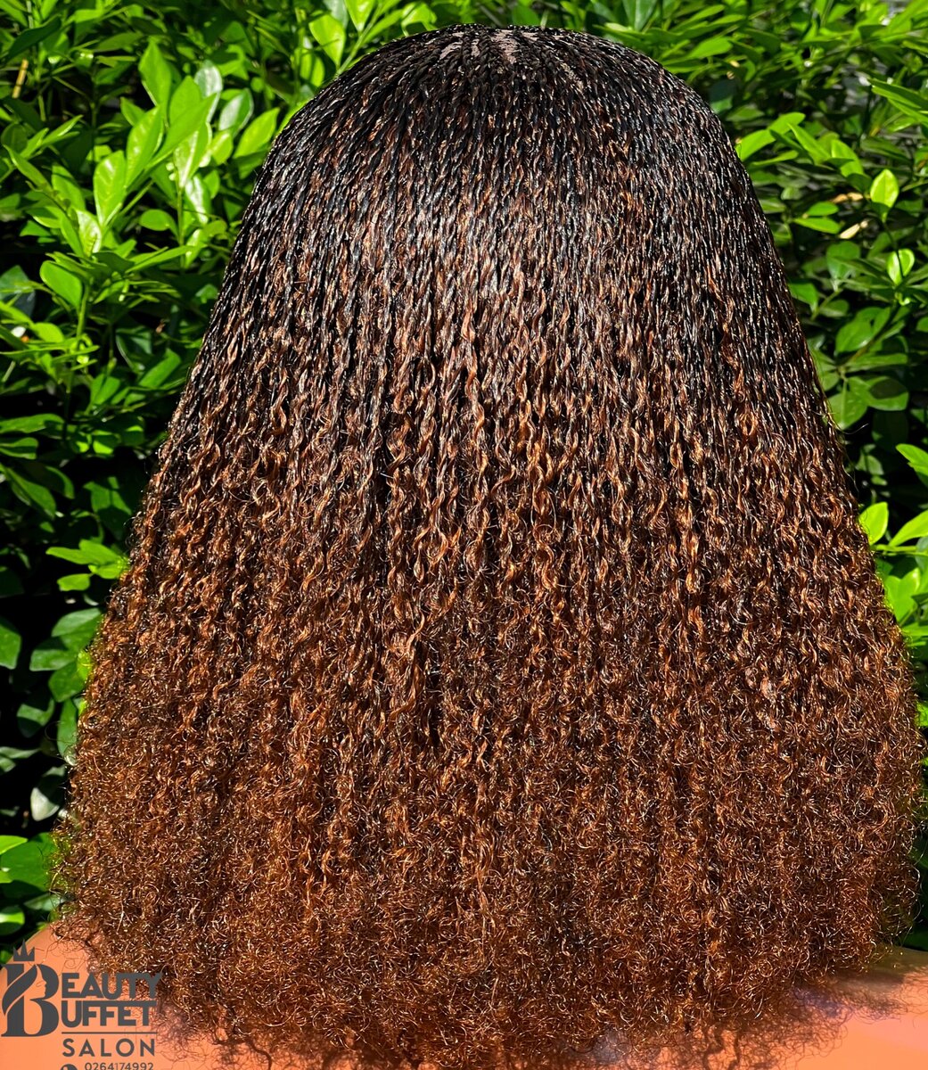 Micro Senegalese Twist Wig