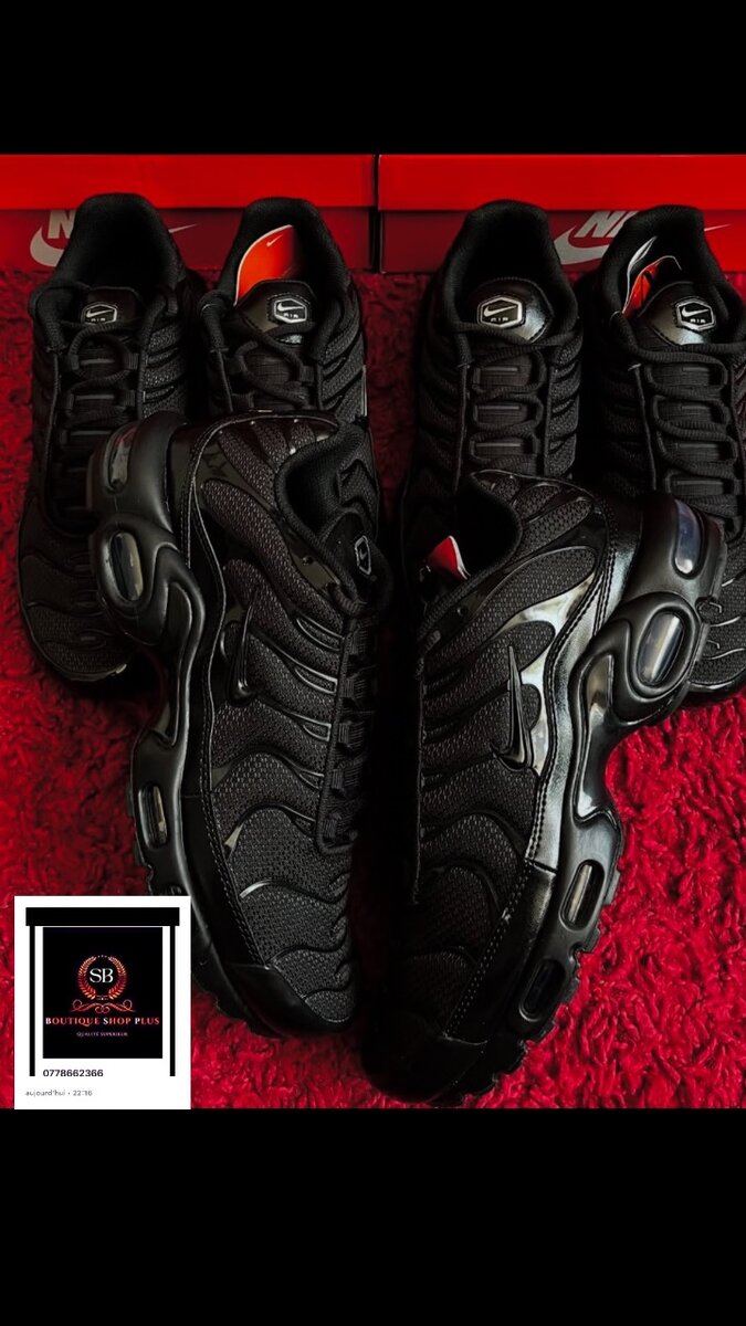 Basket nike tn authentique avec sa boîte