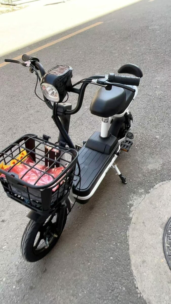 Electric Scooter Bike