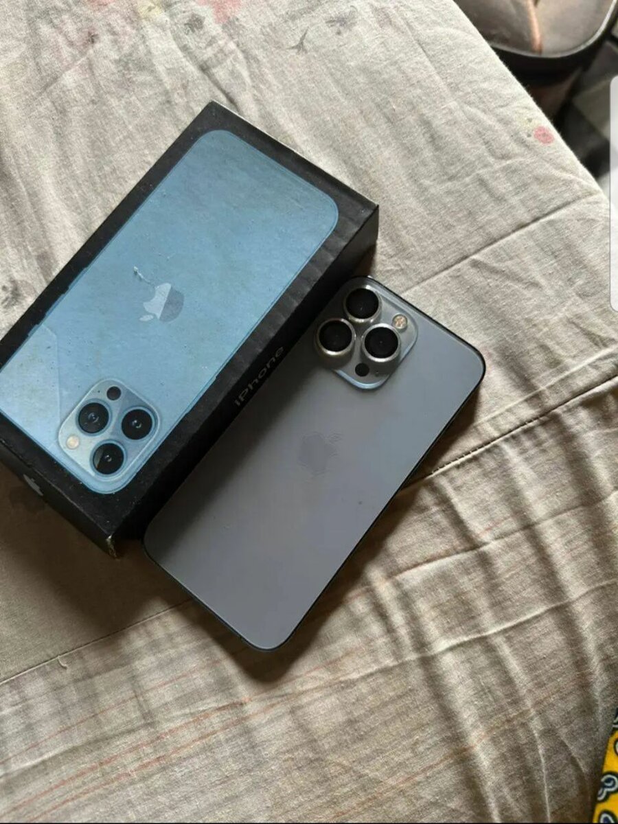 iPhone 13 Pro Max 256Go