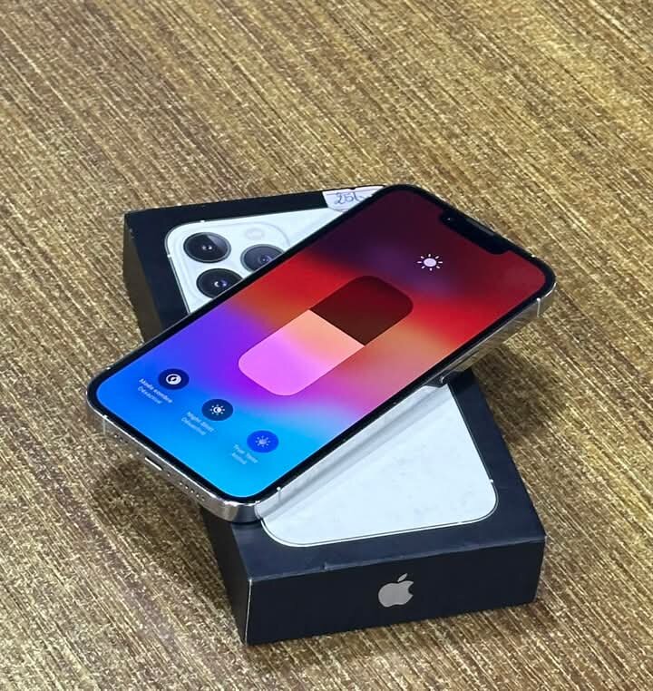iPhone 13 Pro Max 256GB