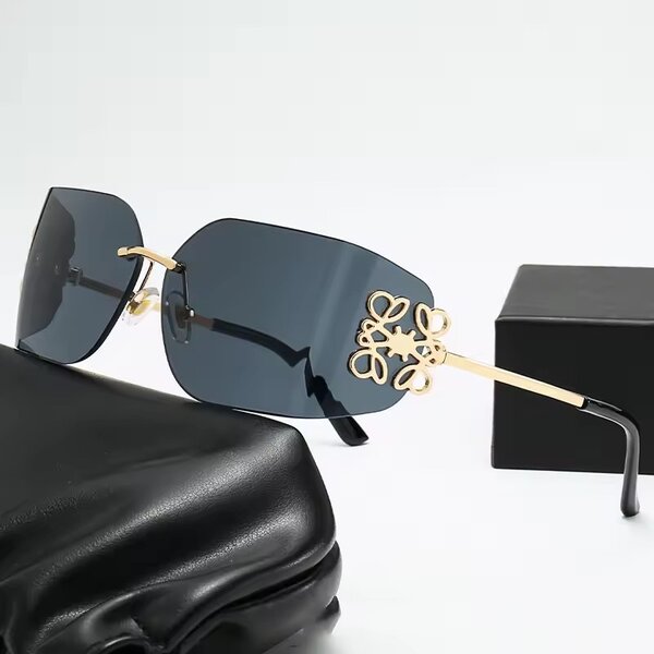 Lunettes de soleil élégantes