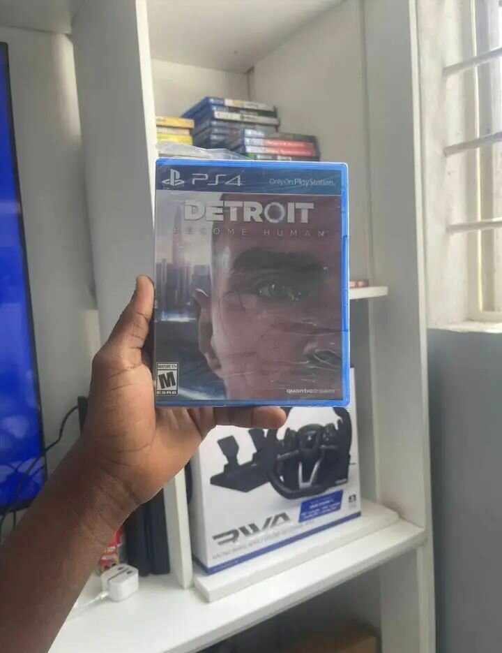 Detroit: becoming human