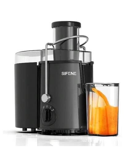 Electric juicer