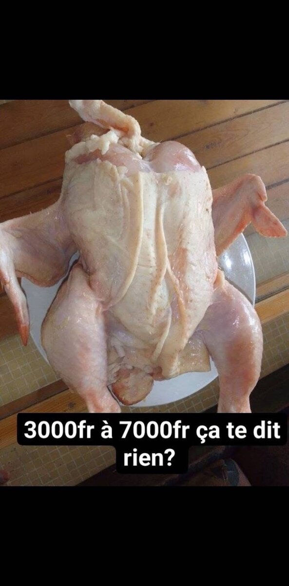 Poulet de chair  entier