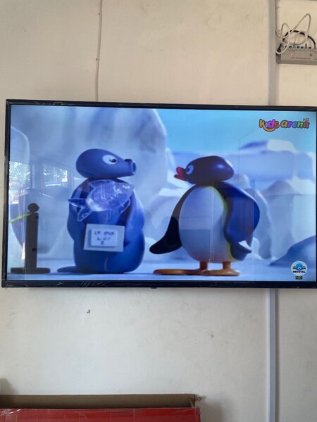 LG 55 inches and 43 inches