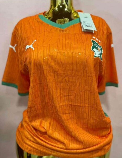 Maillot Côte d'Ivoire Puma