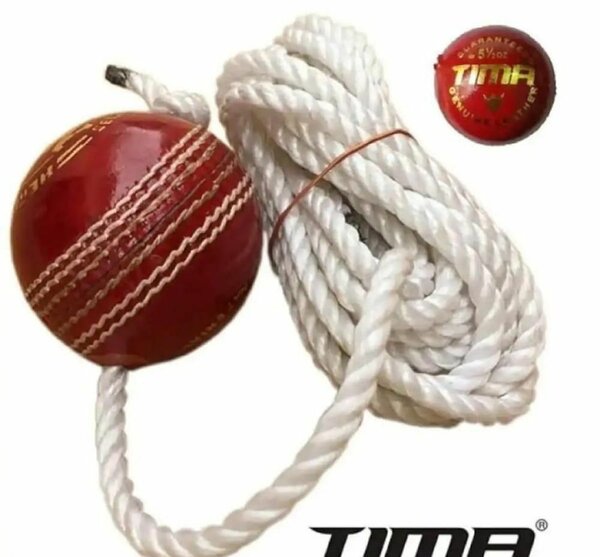 Practice Hanging Ball