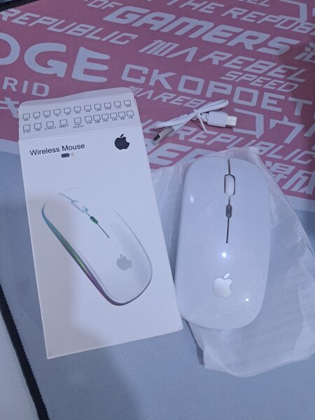Chargeable mouse