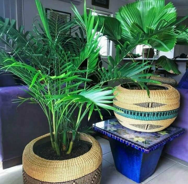 Bolga Baskets flower pots