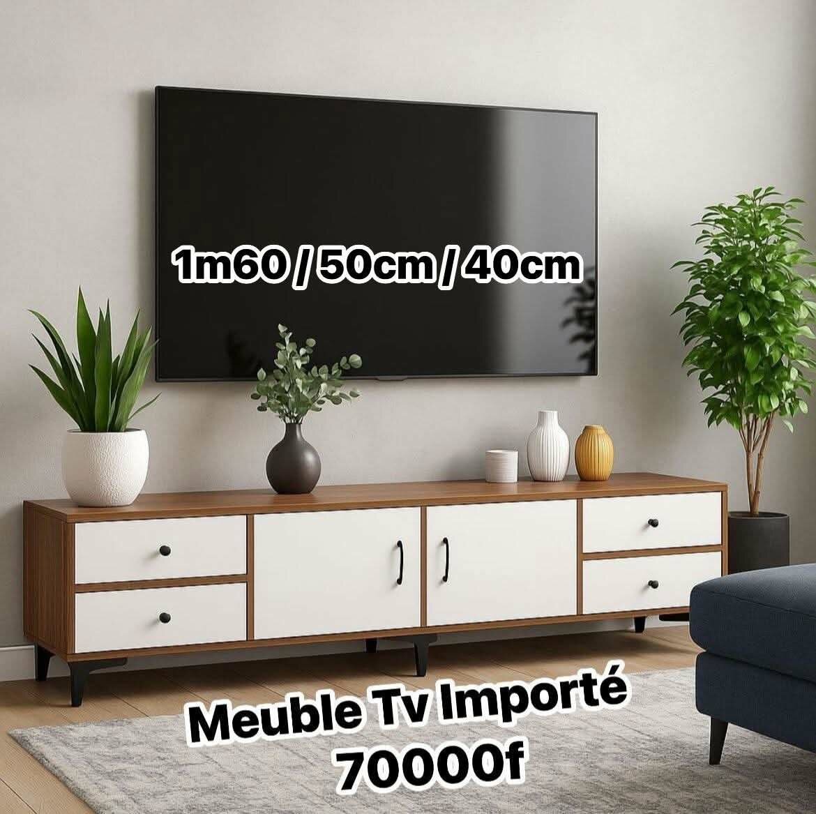 Meuble TV Moderne Bois Blanc