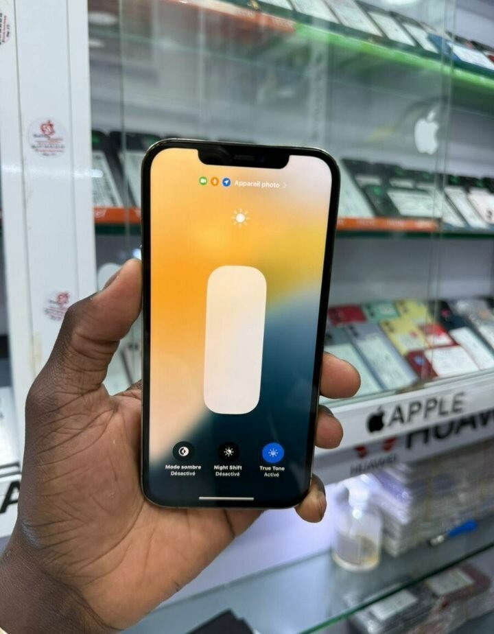 iPhone 13 Pro 256 Go