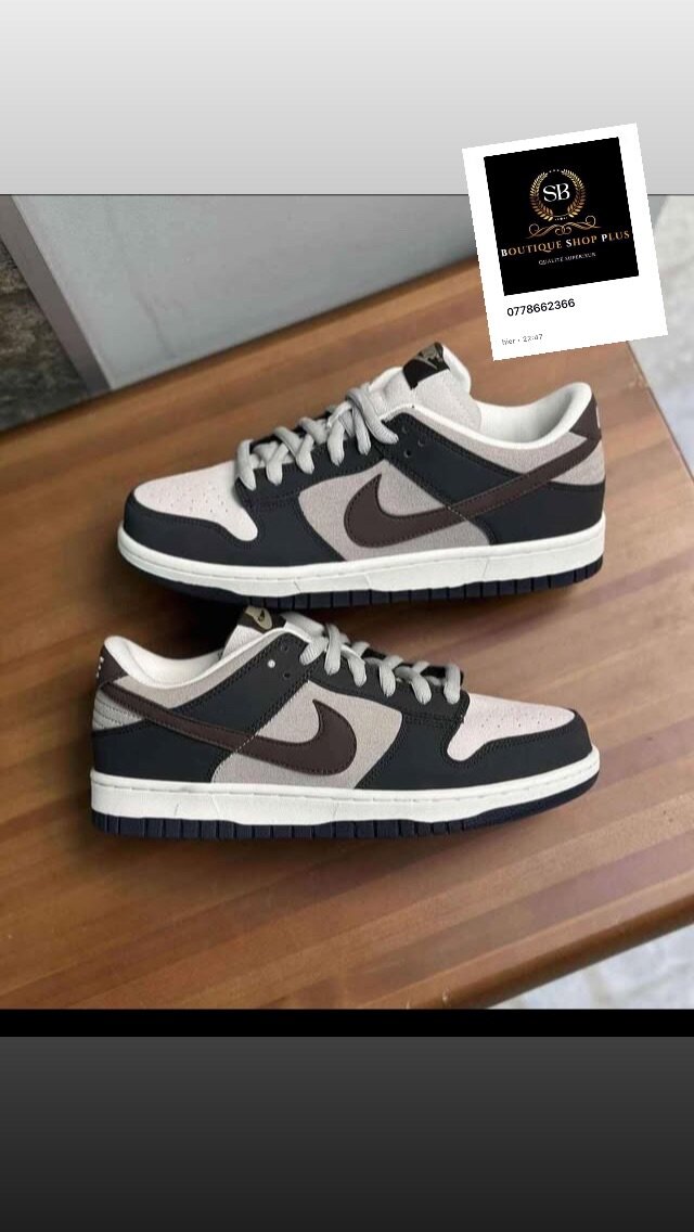 Basket nike Sb authentique avec sa boîte