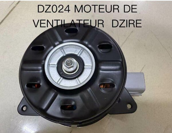 Car Fan Motor DZ024
