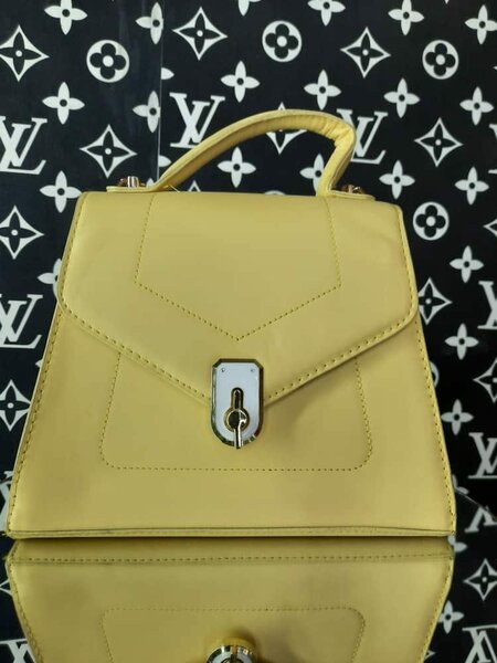 Stylish women's handbag