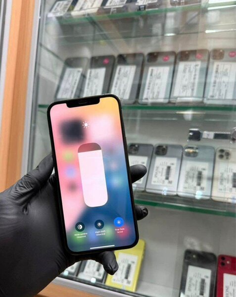 iPhone 12 Pro Max Noir