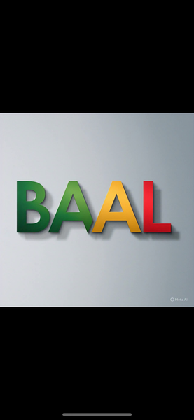 BAAL CORPORATION 