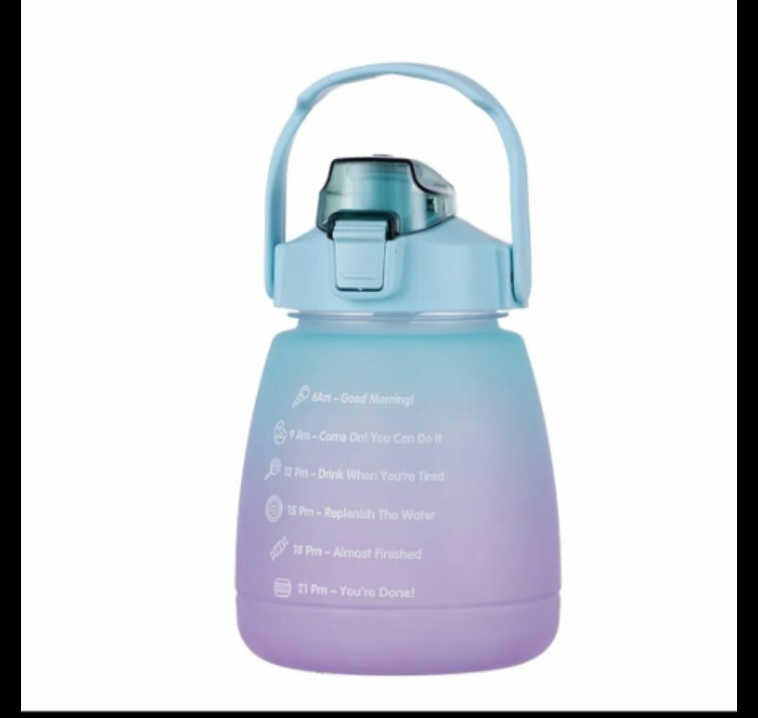 Gourde Motivante Multicolore