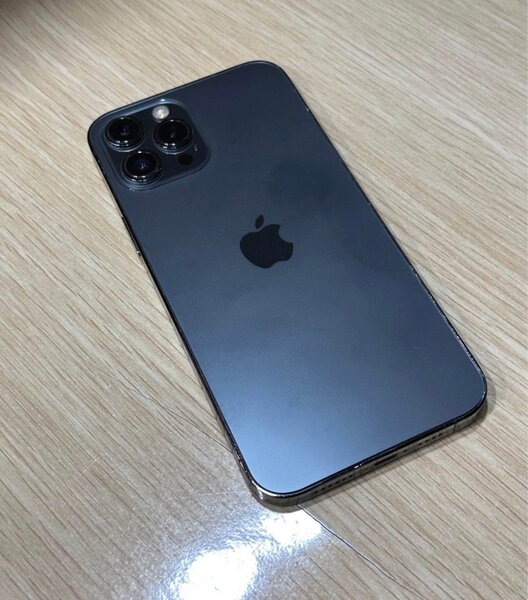 iPhone 12 Pro Max 256 Go Gris