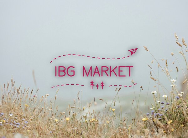 Génie électronique