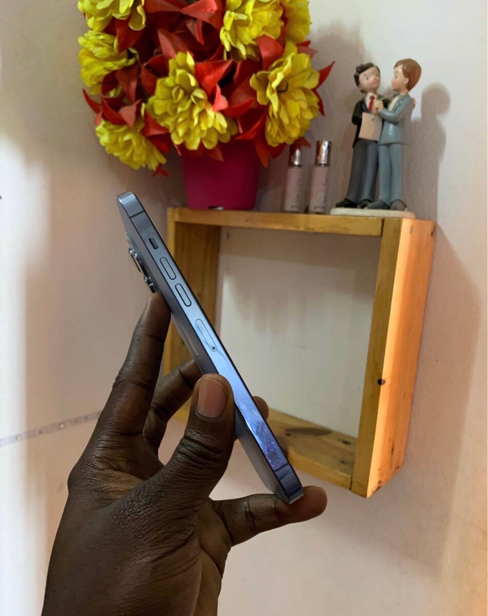 iPhone 13 Pro Max 256giga