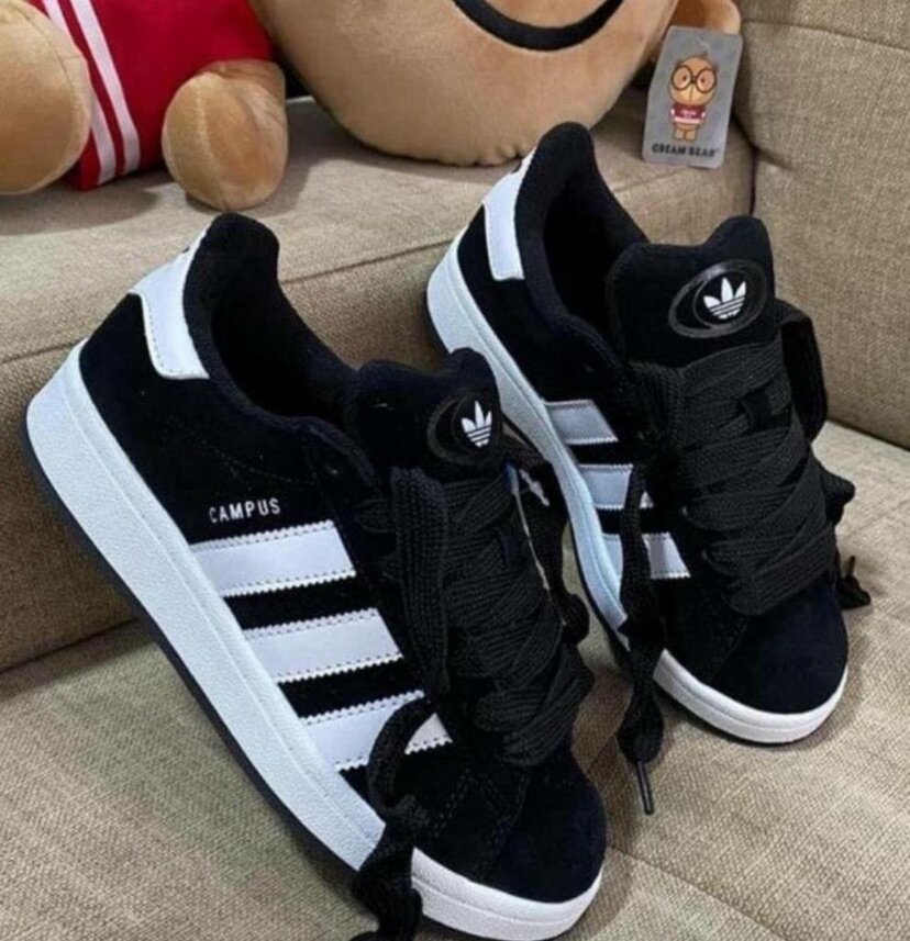 Adidas campus original