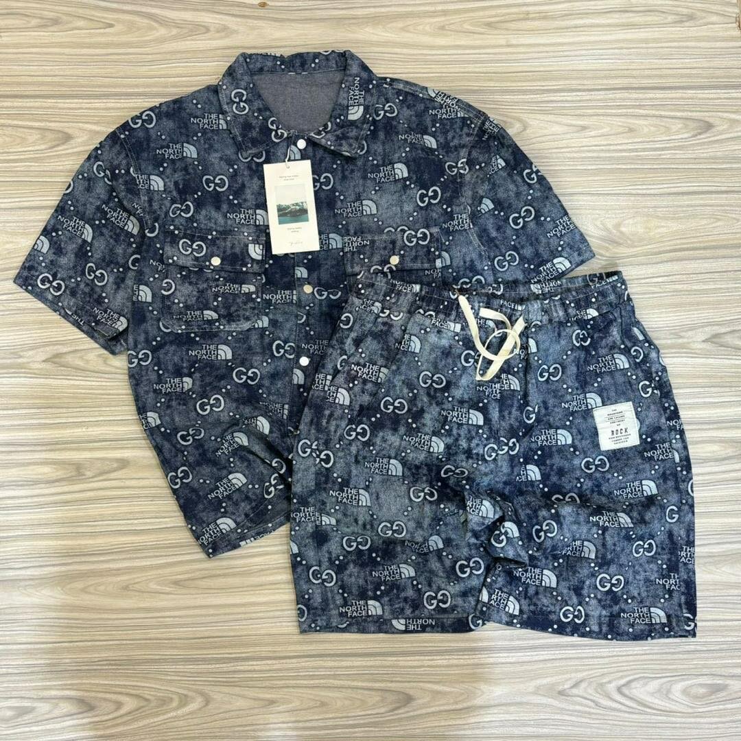 The north face brand