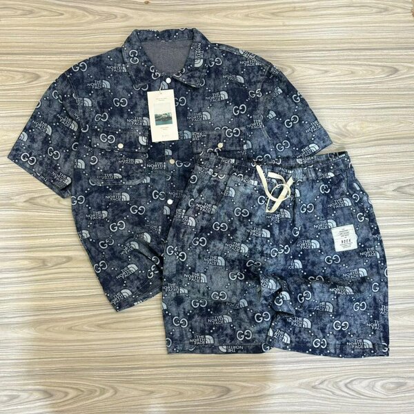 The north face brand