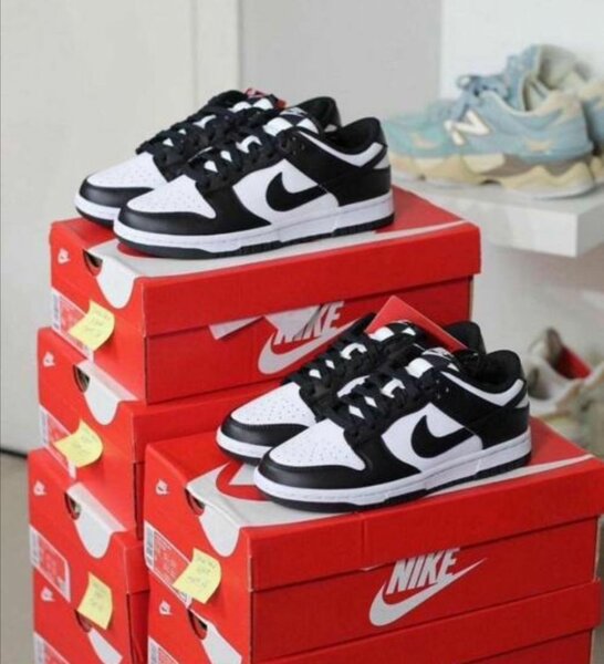 Nike Sb Noir Blanc