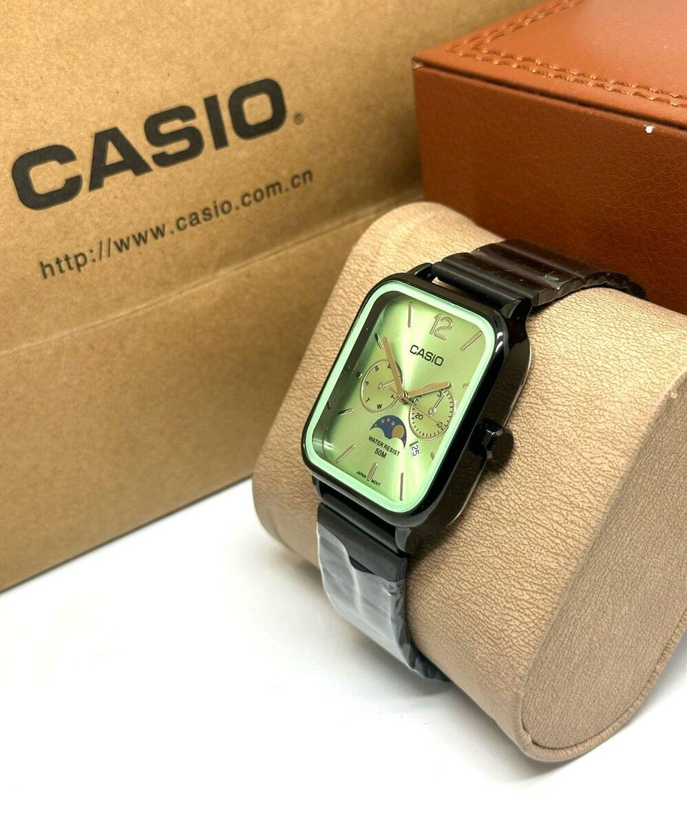 Belle montre Casio