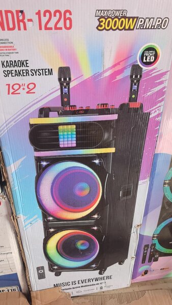 Système Karaoké 3000W LED