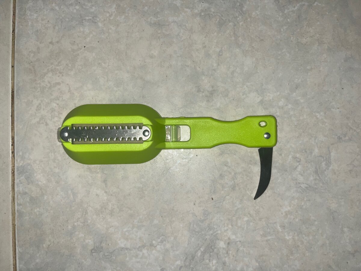 2 Écailleuses de poisson 3 en 1 (vert)