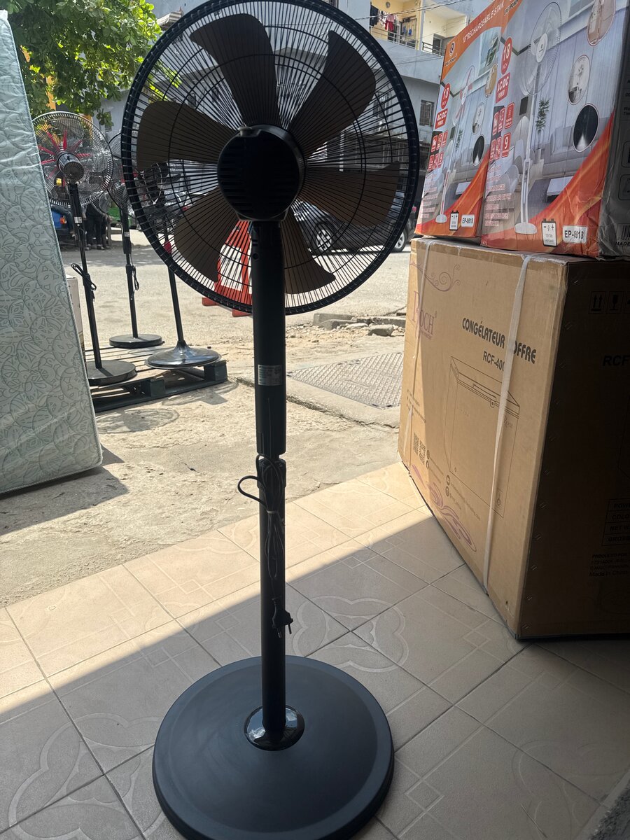 Ventilateur Binatone 1660