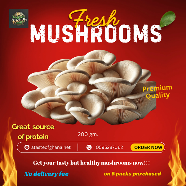 Oyster Mushroom