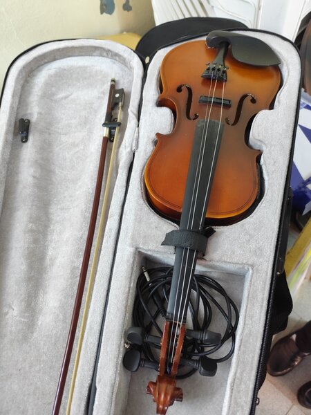 Violon haut de gamme