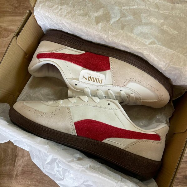 Puma Palermo