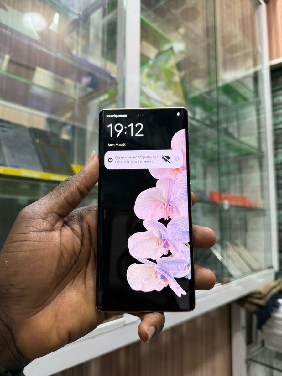 Google pixel 6 pro fissuré