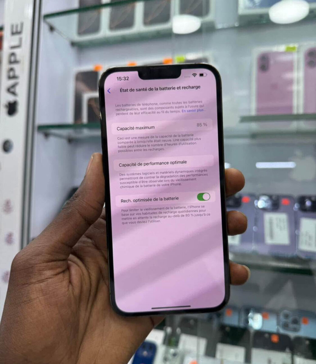 iPhone 13 Pro Max 256GB Vert