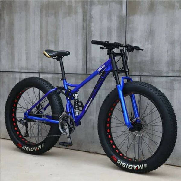 Vélo tout-terrain robuste