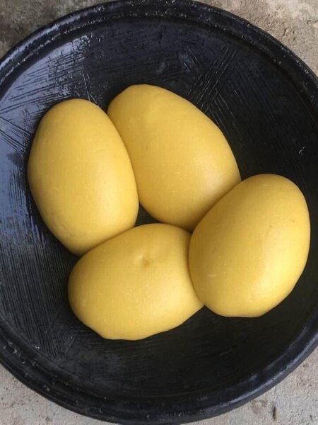 Pondeuse Sauce Claire/Foutou