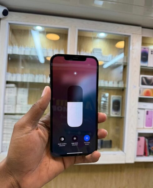 iPhone 12 Pro Max