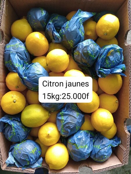 Citrons jaunes frais 15kg