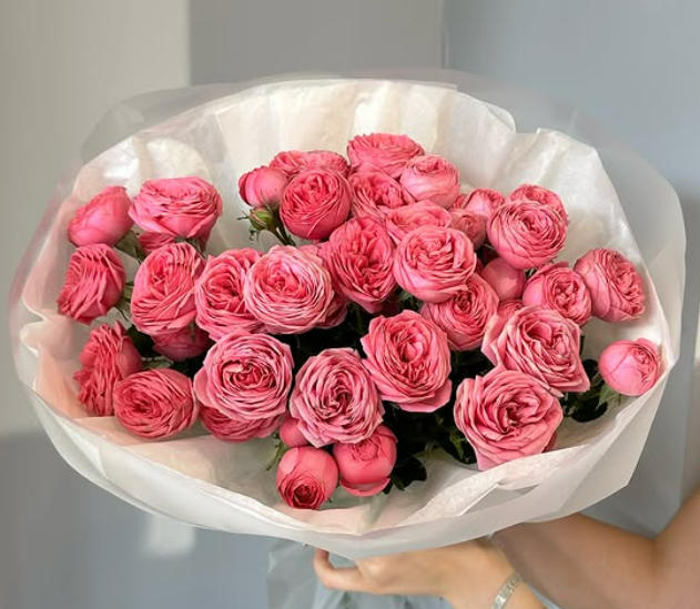 Всеми любимая пионовидная 💗 Жизель