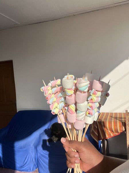 Brochettes de guimauve colorées