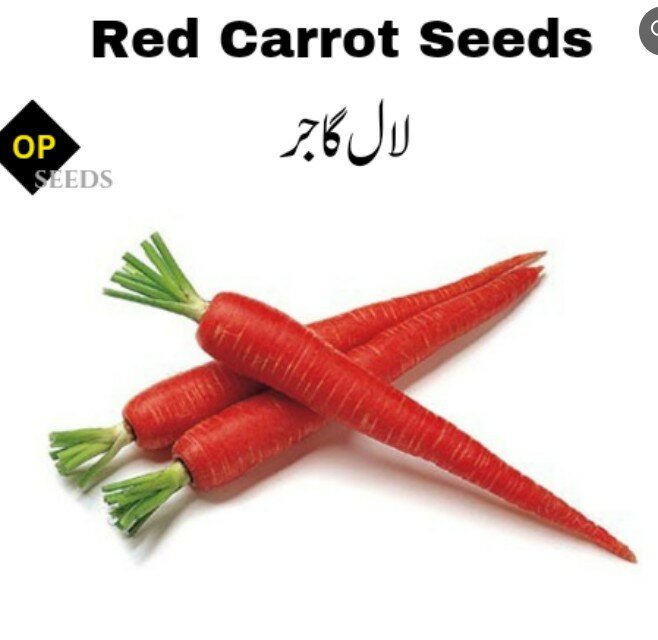 Red Carrot Seeds
