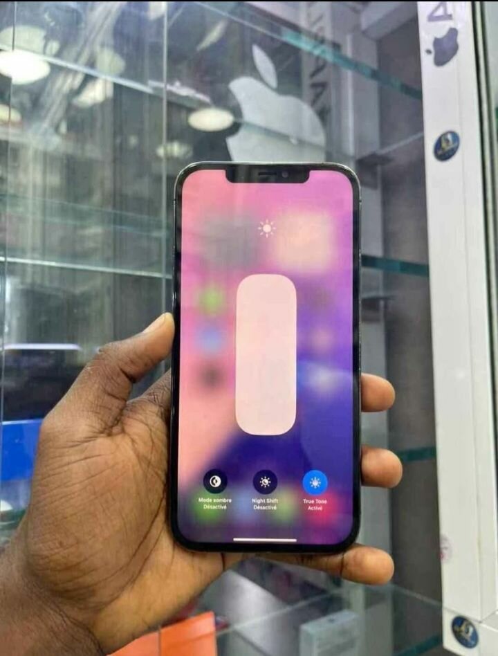 iPhone 12 Pro Max 256GB Gris Sidéral