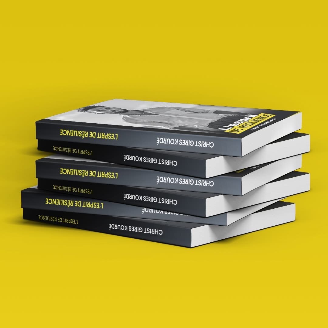 Roman - l esprit de résilience