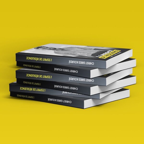 Roman - l esprit de résilience