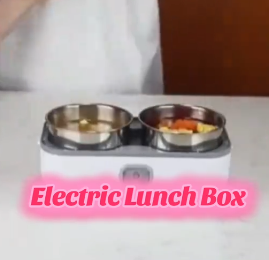 Double layer electric lunch box